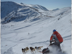 (NE)OBYČEJNÝ: My jim jen poskytujeme radost, sportovec je ten pes a ne člověk, říká zkušený musher Petr Gurega