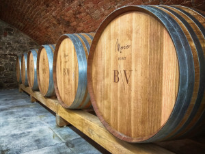 Jak se daří vinařům v krizi? Neexistuje nikdo, koho by se situace nedotkla, říká majitel úspěšného vinařství