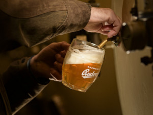 Budvar uvařil loni rekordní objem piva. Na českém trhu mu pomohla novinka Budvar 33