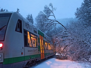 Popadané stromy zastavily provoz na trati Sokolov-Kraslice