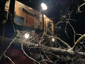 Pod těžkým sněhem se lámou stromy, komplikují dopravu i dodávky elektřiny