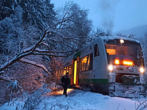 Pod těžkým sněhem se lámou stromy, komplikují dopravu i dodávky elektřiny