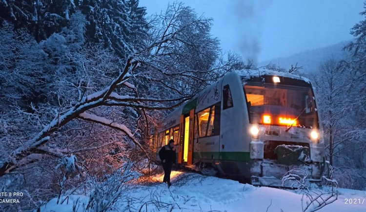 Pod těžkým sněhem se lámou stromy, komplikují dopravu i dodávky elektřiny