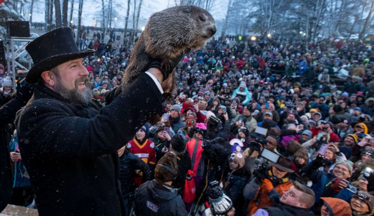 Už více jak sto let předpovídá v Pensylvánii počasí svišť