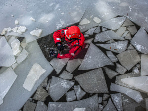 Teploty pod bodem mrazu často lákají k zimním radovánkám na zamrzlých rybnících. Stačí však málo a bruslení se může proměnit v boj o život. A to nejen lidský. Z ledu kromě osob zachraňují hasiči i zvířata, například přimrzlé labutě, srny či psy. Podo
