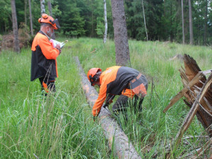 Budoucí lesnící se učí kácet stromy podle videí, mladí kuchaři plní rodinám mrazáky navařeným jídlem