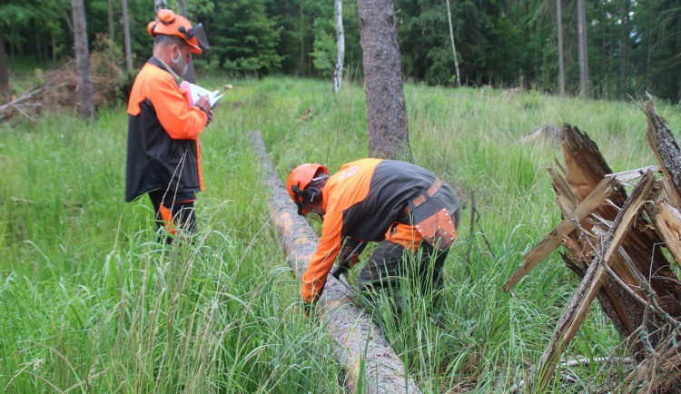 Budoucí lesnící se učí kácet stromy podle videí, mladí kuchaři plní rodinám mrazáky navařeným jídlem