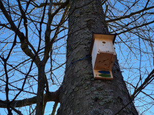Lázeňské lesy přichází s originálním způsobem značení běžeckých tras