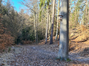 Lázeňské lesy přichází s originálním způsobem značení běžeckých tras