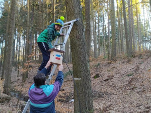 Lázeňské lesy přichází s originálním způsobem značení běžeckých tras