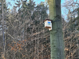 Lázeňské lesy přichází s originálním způsobem značení běžeckých tras