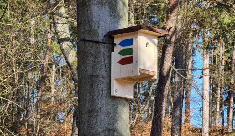 Sportovci našli originální způsob značení běžeckých tras, poslouží jim ptačí budky