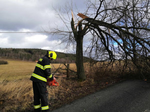 Meteorologové varují, silný vítr může poškodit stromy i zkomplikovat dopravu