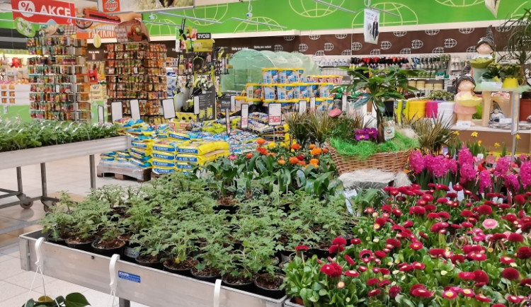 Přivítejte ve vaší zahrádce jaro s hypermarketem Globus