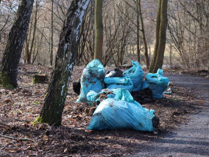 V Ostrově uklízeli lidé okolí starého koupaliště