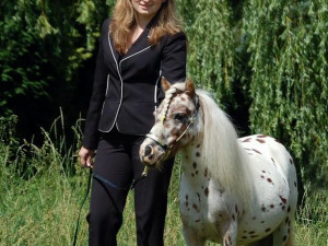 American miniature Horse - nový přírůstek Kaitlin