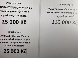 Za streamovaný koncert zaplatili hudební fanoušci 164 tisíc korun