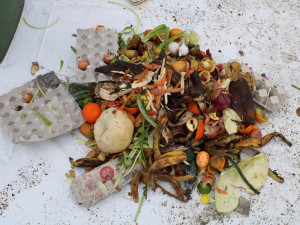 Lidé na třídění odpadu kašlou a vyhazují do černých popelnic i elektroniku nebo plasty