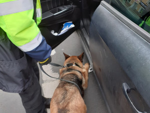 Karlovarští celníci při náhodné kontrole zajistili přes 200 gramů pervitinu za stovky tisíc korun
