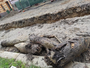 Studentská ulice prochází rekonstrukcí