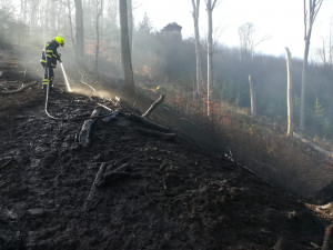 Požár lesa hasilo devět jednotek, další zachraňovali hořící ovčín