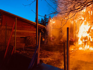 Požár lesa hasilo devět jednotek, další zachraňovali hořící ovčín