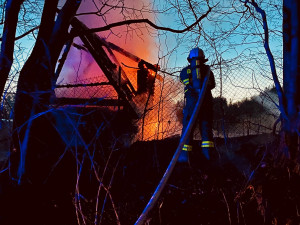 Požár lesa hasilo devět jednotek, další zachraňovali hořící ovčín