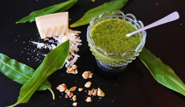 Medvědí česnek prospívá našemu zdraví. Zkuste pesto nebo skvělou tvarohovou pomazánku