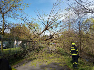 Silný vítr trápí Karlovarský kraj, padající strom zasáhl ženu a dvě děti
