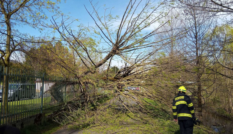 Silný vítr trápí Karlovarský kraj, padající strom zasáhl ženu a dvě děti