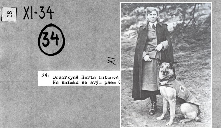 Herta Lutzová, foto archiv Václav Němec / Muzeum Sokolov