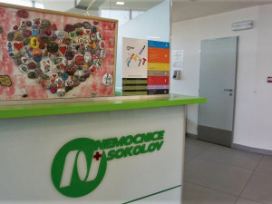 Kamínky, které lidé pomalovali jako poděkování zdravotníkům, dělají radost v podobě obrazů