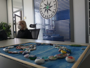 Kamínky, které lidé pomalovali jako poděkování zdravotníkům, dělají radost v podobě obrazů