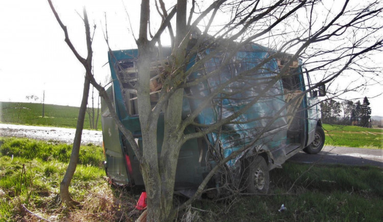 Opilý řidič se zákazem řízení ujížděl před policisty a havaroval