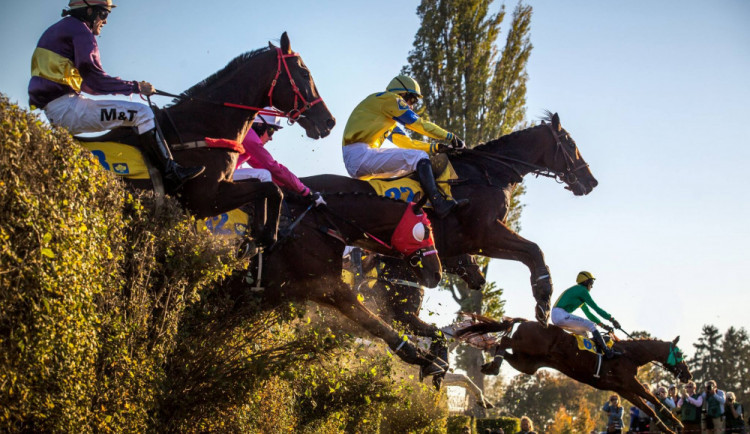 Pardubické dostihy budou i s diváky. Tribuny se zaplní z 10 procent
