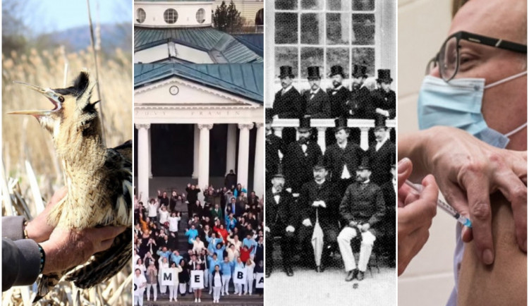 KVĚTEN 2021: Záchrana vzácného opeřence, roztančené lázně i rušení očkovacích center