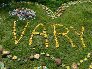 Žluté kytičky nahradily malované kamínky, každý z nich finančně podpoří Ligu proti rakovině