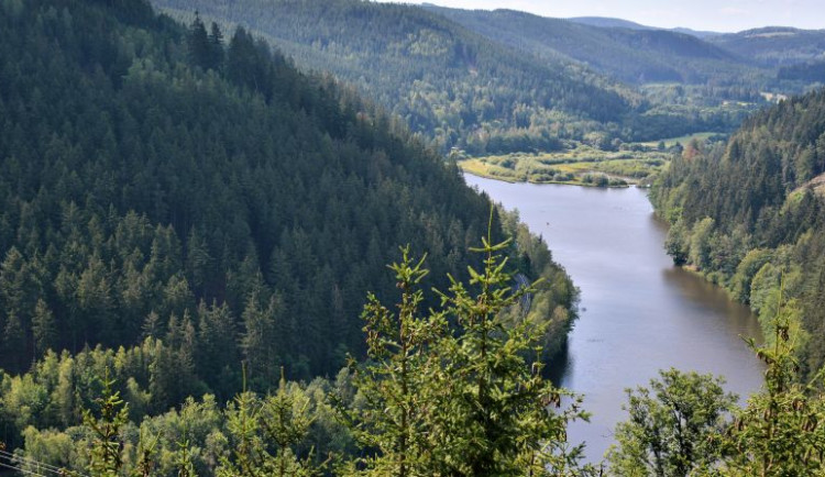V lázeňských lesích vznikne maloplošné chráněné území Karlův hvozd