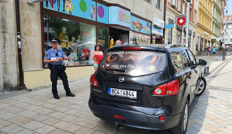Zvířecí záchranáři jeli na pomoc uvězněnému opeřenci, nakonec se dočkali pokuty