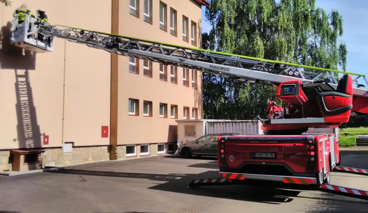 Jak se zbavit sršní? Pokud je v rodině alergik, pomohou i hasiči