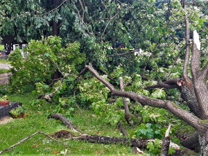 Bouře porážela stromy v Karlovarském kraji, ty poškodily auto, dům i hřbitov