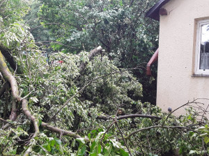 Bouře porážela stromy v Karlovarském kraji, ty poškodily auto, dům i hřbitov