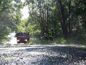 Bouře porážela stromy v Karlovarském kraji, ty poškodily auto, dům i hřbitov