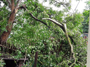 Bouře porážela stromy v Karlovarském kraji, ty poškodily auto, dům i hřbitov