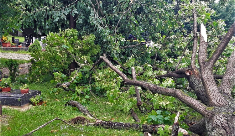 Bouře porážela stromy v Karlovarském kraji, ty poškodily auto, dům i hřbitov