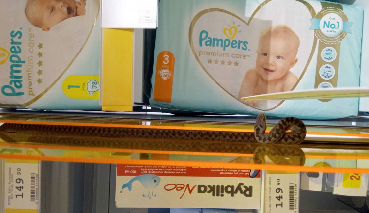 V regálech s dětským zbožím se plazila zmije. S jejím odchytem pomohli hasiči