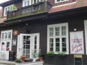 Inspekce uzavřela restauraci v Karlových Varech. Uvnitř našla myší trus a plesnivé zdi