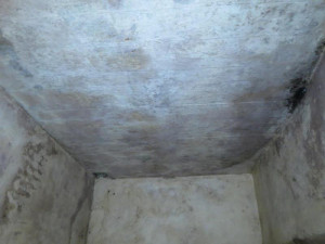 Inspekce uzavřela restauraci v Karlových Varech. Uvnitř našla myší trus a plesnivé zdi