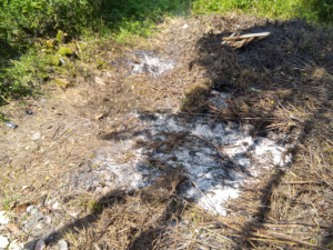 Vážné popáleniny utrpěl jeden člověk, který se pokoušel benzínem zapálit odpadky na zahradě