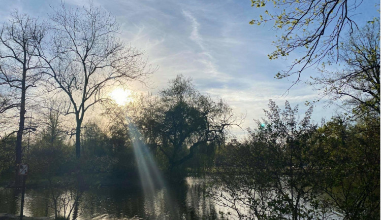 Kam o víkendu? Podívejte se na pět nejkrásnějších míst ve Stromovce